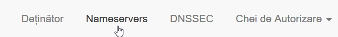 Sectiunea Nameservers