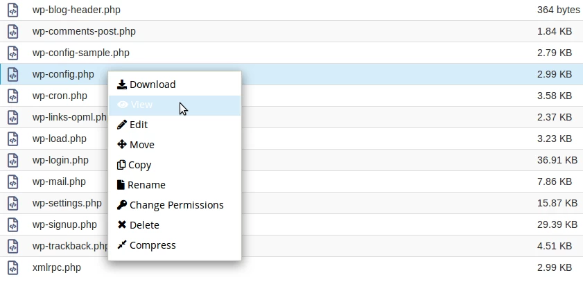 Accesare wp-config.php view